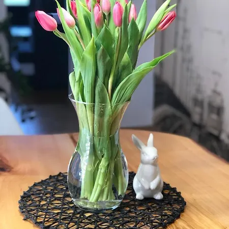 Hotel Apartament Loft Bielsko-Biala