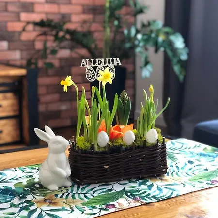 Apartament Loft Bielsko-Biała