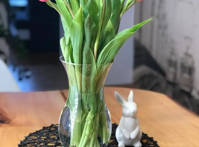 Hotel Apartament Loft Bielsko-Biała